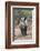 Ithuba, Thula Thula Rhino Orphanage, Kwazulu-Natal-Ann & Steve Toon-Framed Photographic Print