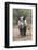 Ithuba, Thula Thula Rhino Orphanage, Kwazulu-Natal-Ann & Steve Toon-Framed Photographic Print