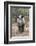 Ithuba, Thula Thula Rhino Orphanage, Kwazulu-Natal-Ann & Steve Toon-Framed Photographic Print