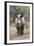 Ithuba, Thula Thula Rhino Orphanage, Kwazulu-Natal-Ann & Steve Toon-Framed Photographic Print