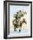 Itinerant Preacher Riding a Mule from Settlement to Settlement-null-Framed Giclee Print