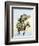 Itinerant Preacher Riding a Mule from Settlement to Settlement-null-Framed Giclee Print