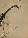 White Cockatoo on a Pine Branch-Ito Jakuchu-Giclee Print