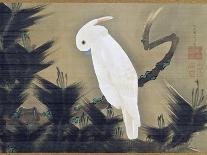 White Cockatoo on a Pine Branch-Ito Jakuchu-Framed Premier Image Canvas