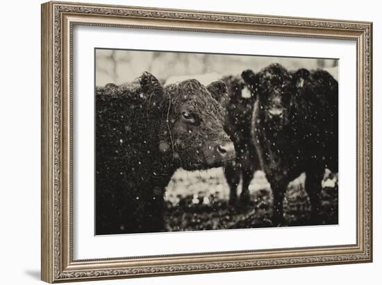 Its Snowing-Aledanda-Framed Art Print