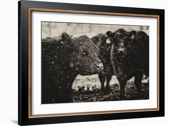 Its Snowing-Aledanda-Framed Art Print