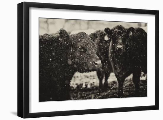 Its Snowing-Aledanda-Framed Art Print