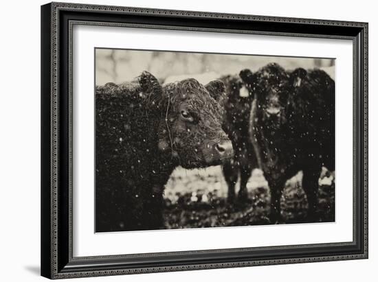 Its Snowing-Aledanda-Framed Art Print