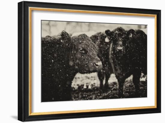 Its Snowing-Aledanda-Framed Art Print