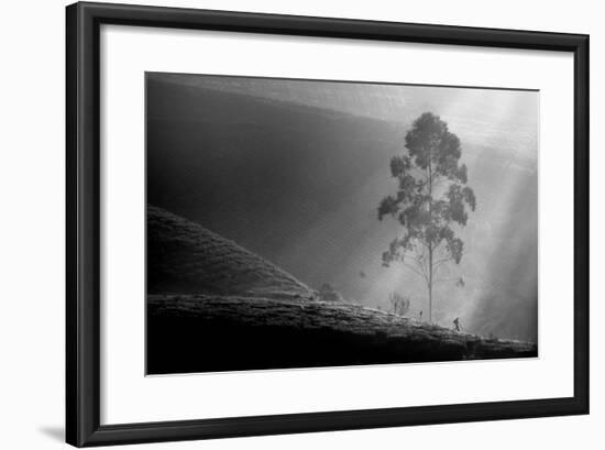 Itself on a Long Journey-Saelanwangsa-Framed Photographic Print