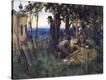 Stretched Canvas Print