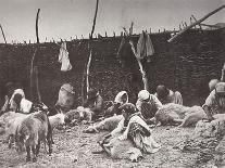 Sheep Shearing, Russia, C1875-C1877-Ivan Boldyrev-Premium Giclee Print