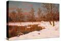 Stretched Canvas Print