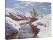 Stretched Canvas Print