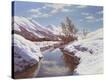 Stretched Canvas Print