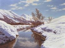 Bright Winter's Day-Ivan Fedorovich Choultse-Giclee Print