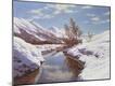 Giclee Print
