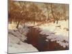 Premium Giclee Print