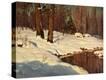 Stretched Canvas Print