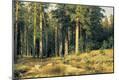 Premium Giclee Print
