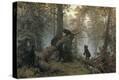 Stretched Canvas Print