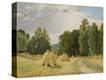Stretched Canvas Print