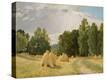 Stretched Canvas Print