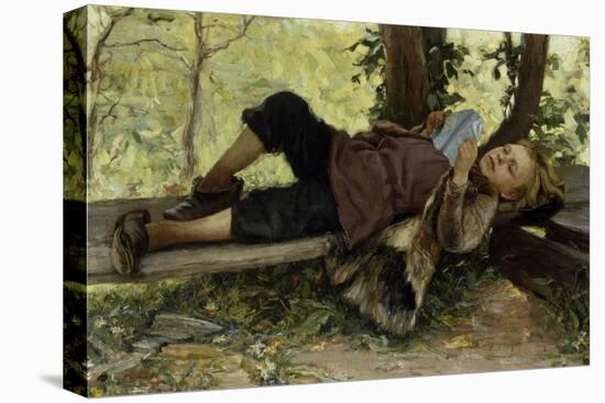 Stretched Canvas Print, , large
