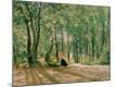 Premium Giclee Print