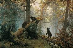 In the Birch Tree Forest, 1883-Ivan Ivanovitch Shishkin-Giclee Print