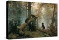Stretched Canvas Print