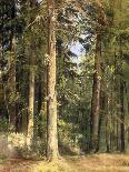 The Pine Forest, 1895-Ivan Ivanovich Shishkin-Framed Giclee Print