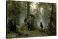 Stretched Canvas Print
