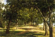 A Summer Day, Merikiul, 1895-Ivan Ivanovich Shishkin-Framed Premier Image Canvas