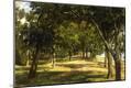 Giclee Print