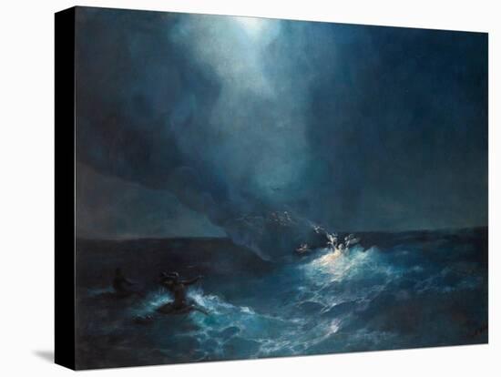 Stretched Canvas Print, , large