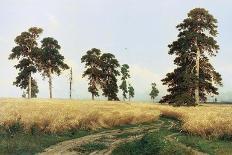 Rye Field, 1878-Ivan Shishkin-Premier Image Canvas