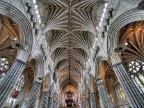 Exeter Cathedral, Exeter, Devon, UK-Ivan Vdovin-Photographic Print