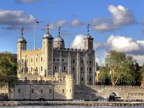 The Tower of London, London,England, UK-Ivan Vdovin-Photographic Print