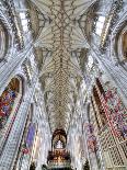 Exeter Cathedral, Exeter, Devon, UK-Ivan Vdovin-Photographic Print