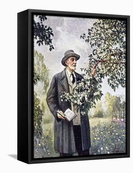 Ivan Vladimirovich Michurin-null-Framed Premier Image Canvas