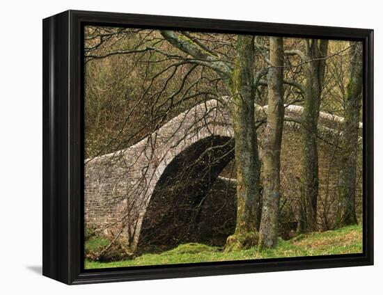 Ivelet Bridge, a Traditional Packhorse Bridge, Swaledale, Yorkshire Dales National Park, England-Paul Harris-Framed Premier Image Canvas