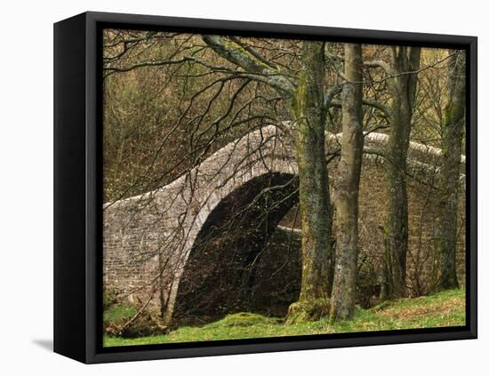 Ivelet Bridge, a Traditional Packhorse Bridge, Swaledale, Yorkshire Dales National Park, England-Paul Harris-Framed Premier Image Canvas