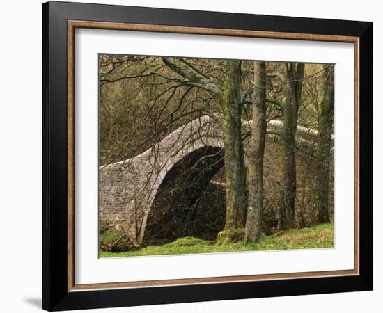 Ivelet Bridge, a Traditional Packhorse Bridge, Swaledale, Yorkshire Dales National Park, England-Paul Harris-Framed Photographic Print