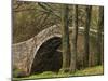 Ivelet Bridge, a Traditional Packhorse Bridge, Swaledale, Yorkshire Dales National Park, England-Paul Harris-Mounted Photographic Print