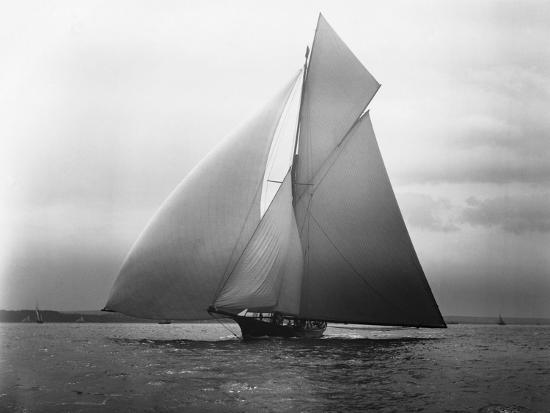 Photographic Print, , large