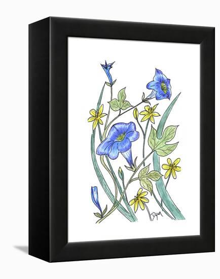 Ivey Leaved Morning Glory-Beverly Dyer-Framed Stretched Canvas