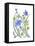 Ivey Leaved Morning Glory-Beverly Dyer-Framed Stretched Canvas