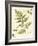 Ivies and Ferns I-Lisa Audit-Framed Art Print