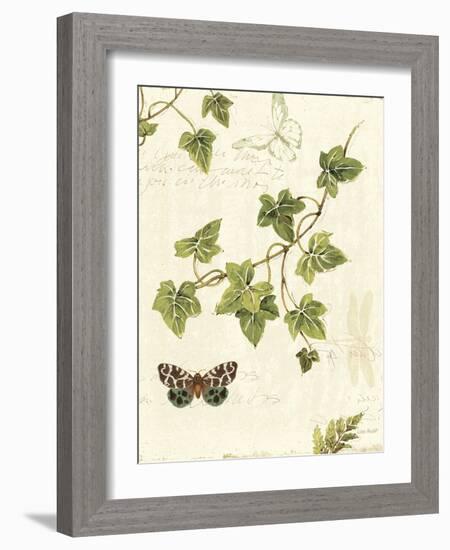 Ivies and Ferns II-Lisa Audit-Framed Art Print